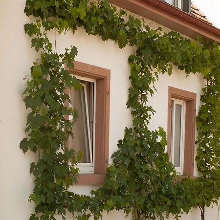 Ferienhaus Am Kuenstleratelier Riegel Exterior foto